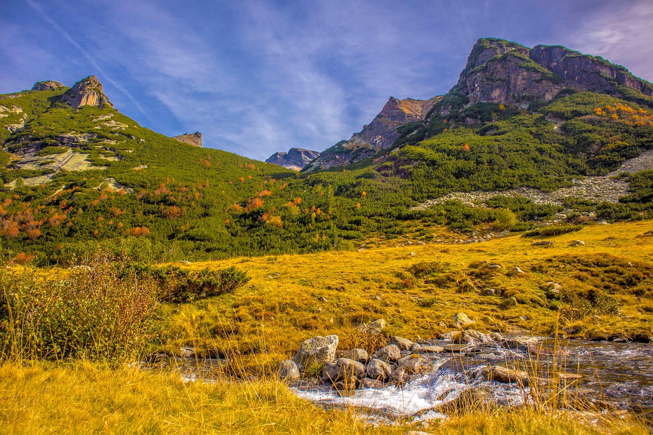 La main tendue – **Étreinte Lo-Fi Humaniste et Consolante comme un Rayon d’Espoir**