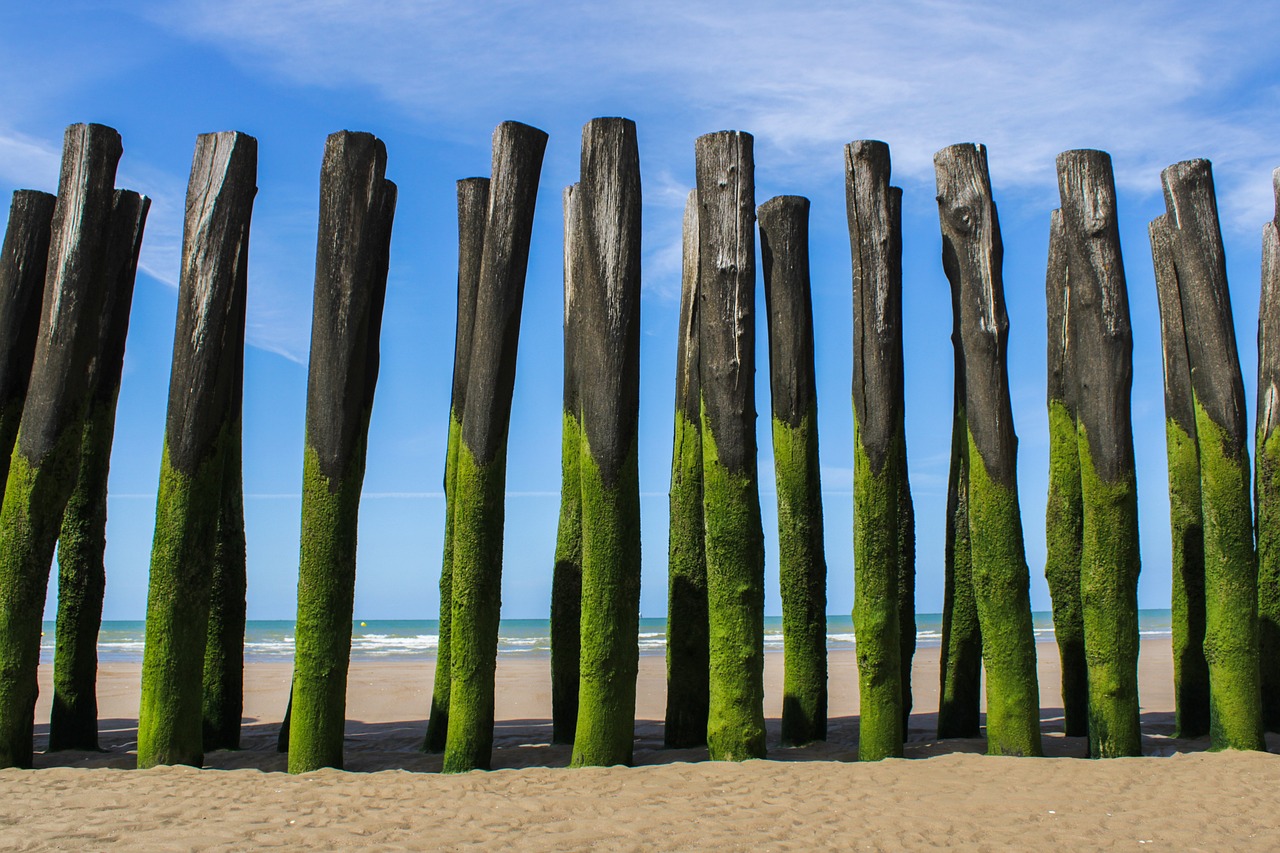 Sea blues – **Marée Lo-Fi Nostalgique et Immersive comme un Souvenir d’Océan**