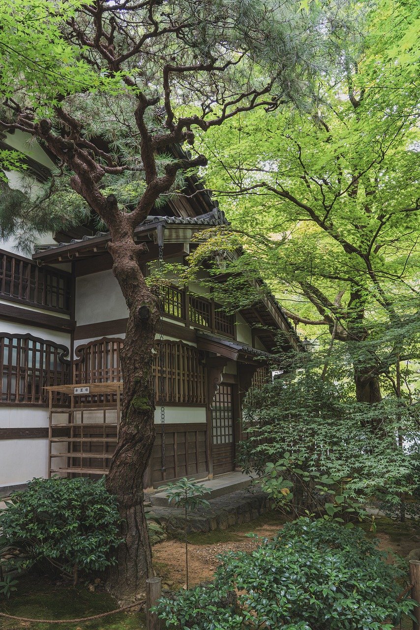 Sea blues – **Murmure Lo-Fi Marin et Contemplatif comme une Brise Salée**