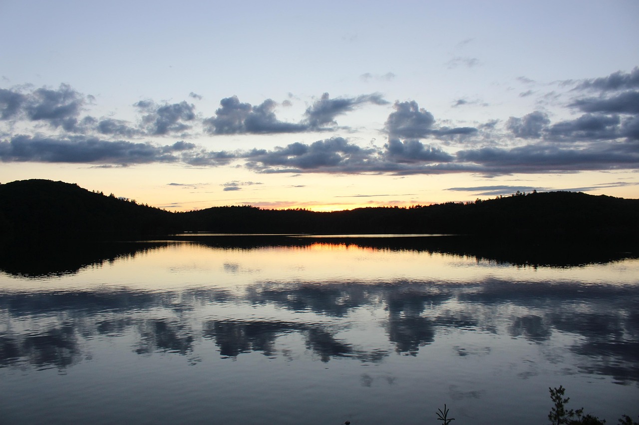 Silence – **Souffle Lo-Fi Évanescent et Cathartique comme une Pause Éternelle**