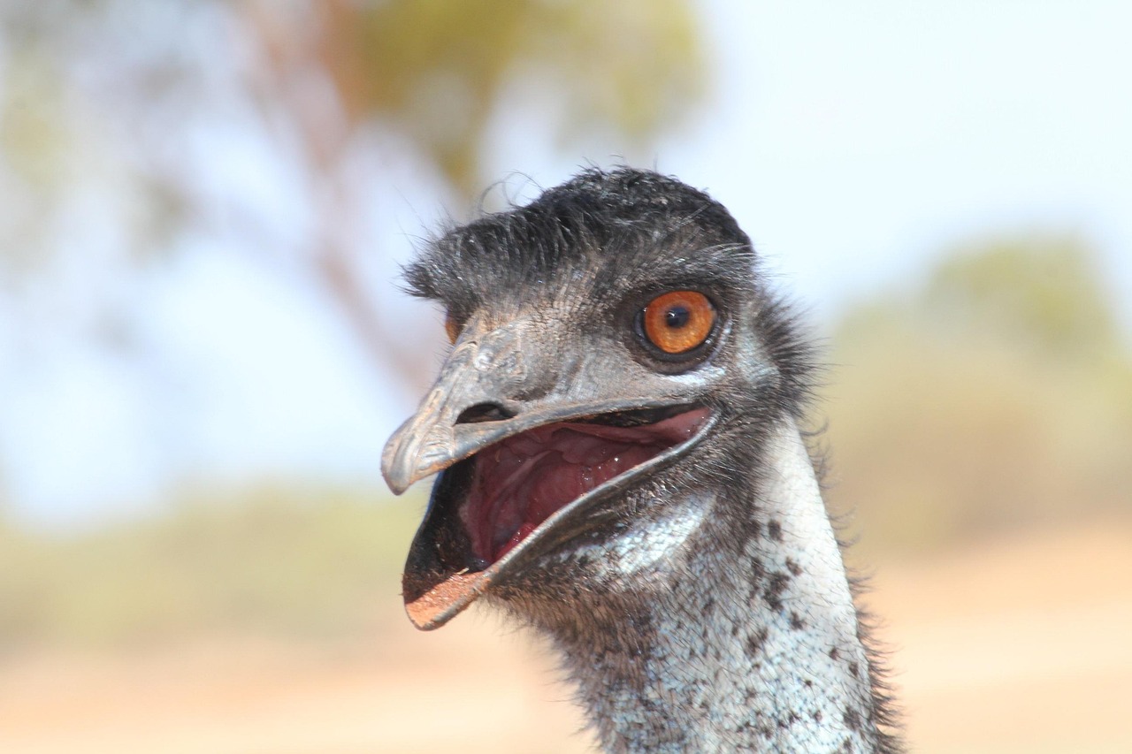 Silence – **Équilibre Lo-Fi Suspendu et Cathartique comme un Souffle d’Infini**