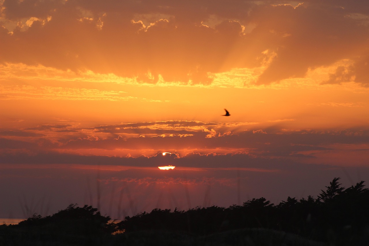 solitude – **Rituel Lo-Fi Crépusculaire et Introspectif**