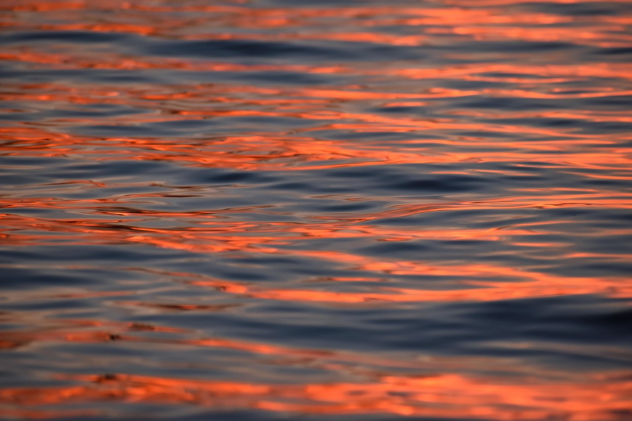 Summer dream – **Échappée Lo-Fi Estivale & Envoûtante comme une Étincelle de Soleil Éternel**