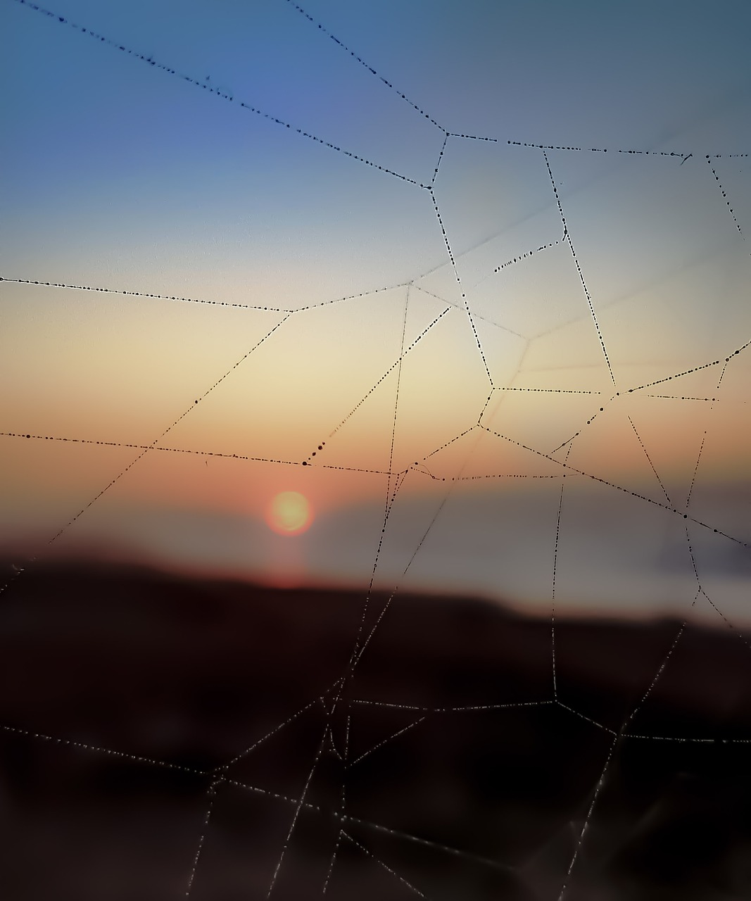 Sweet – **Élixir Lo-Fi Doucereux et Enchanté comme une Caresse de Miel Fondant**