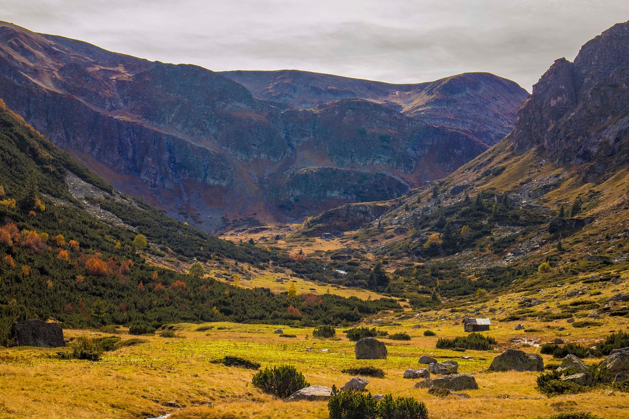 Vivre – **Pulsation Lo-Fi Organique et Revivifiante comme un Souffle d’Existence**