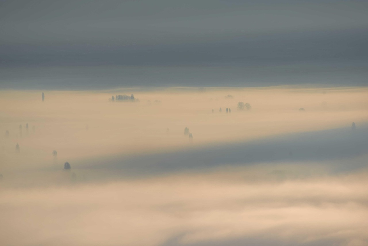 Vivre — Éclat Matinal