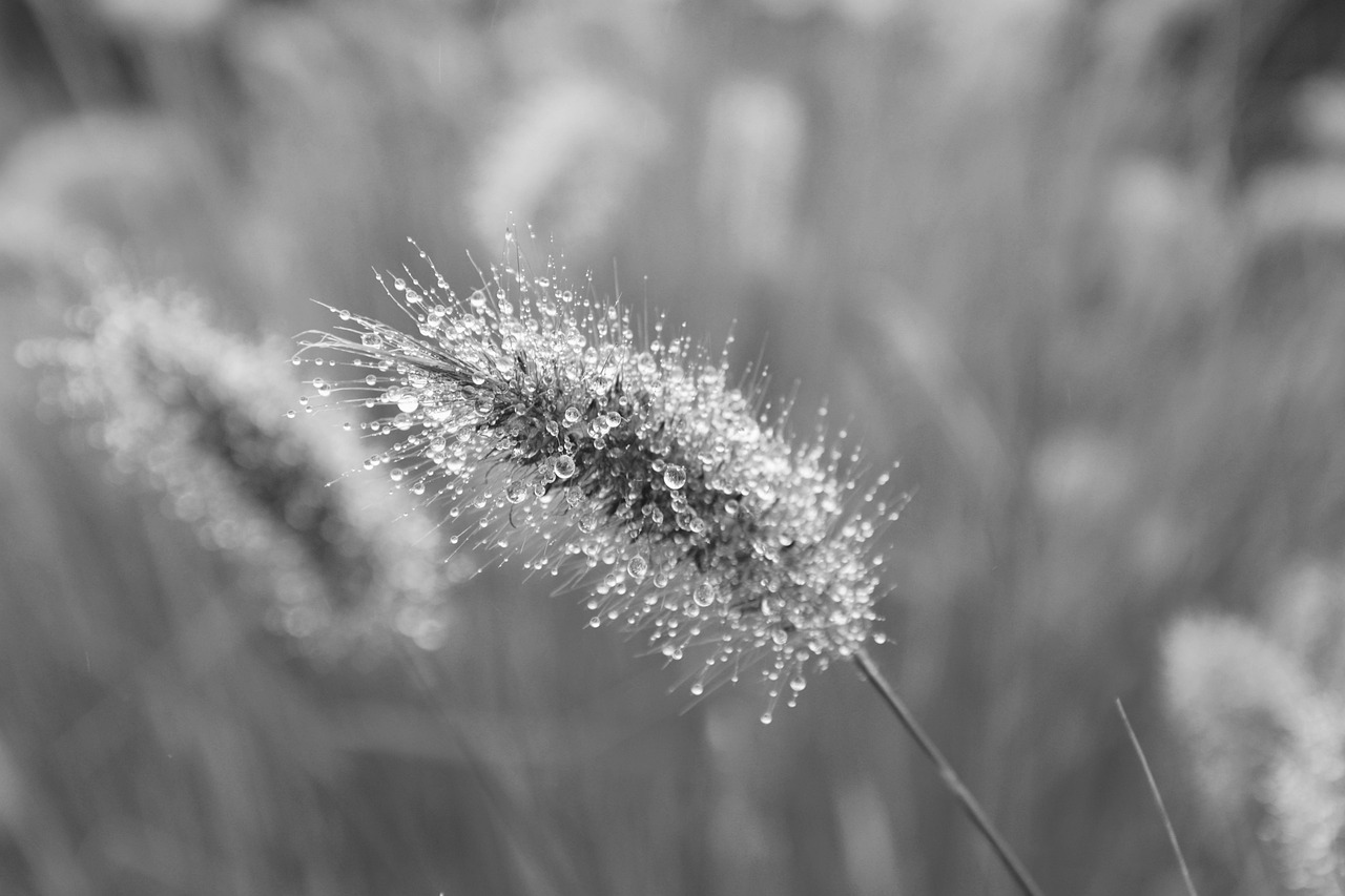 Vivre – Élan Lo-Fi Vibrant et Inspirant