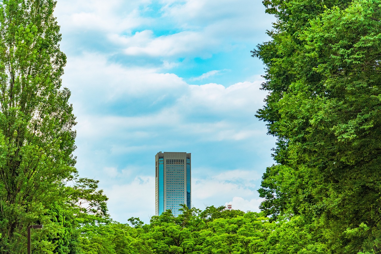 Illustration de l'ambiance Zen dream